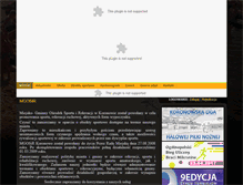 Tablet Screenshot of mgosir.koronowo.pl